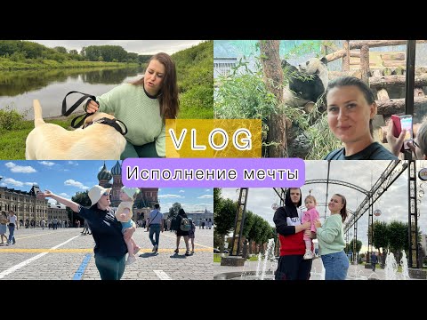 Видео: VLOG/Москва/Исполнение мечты/Ярмарка/Сауна дома/Зоопарк/mom vlog