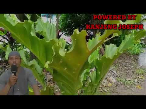 Видео: Эрталаб тингланг Ризқ Барака Бойлик Омад Учун дуо кун давомида