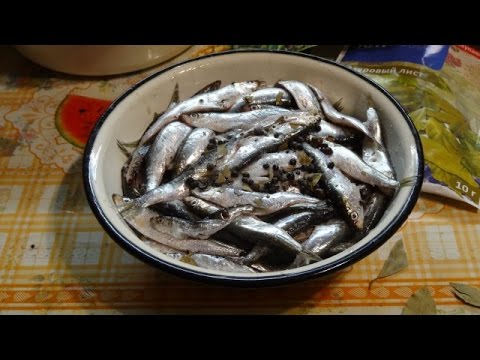 Видео: Рецепт кильки