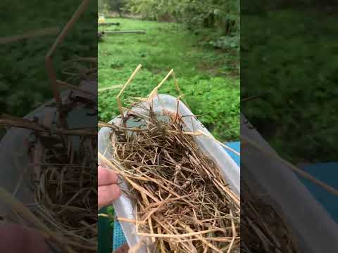 Видео: Домашній точок! Сила сімей на 5.10.2025