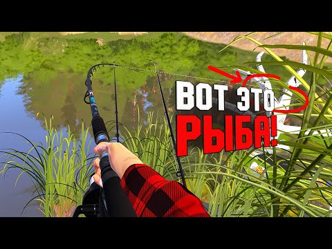 Видео: ЭТА РЫБА ПРИНЕСЛА МНЕ КУЧУ СЕРЕБРА! РУССКАЯ РЫБАЛКА 4 ФАРМ ПРОКАЧКА С НУЛЯ №3