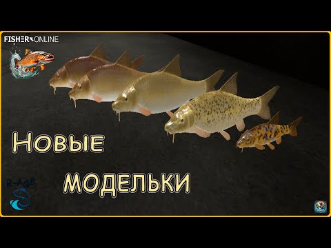 Видео: Fisher Online  /  Обновлённые усачи  /  Общение