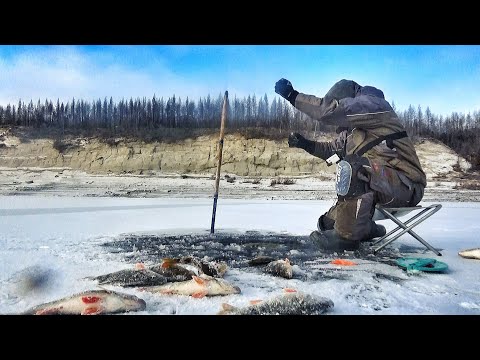 Видео: УШЁЛ ВТИХАРЯ ОТ ВСЕХ И НАЛОВИЛ! ЗА ПОЛЯРНЫЙ КРУГ! ЯКУТИЯ ДЕНЬ 5