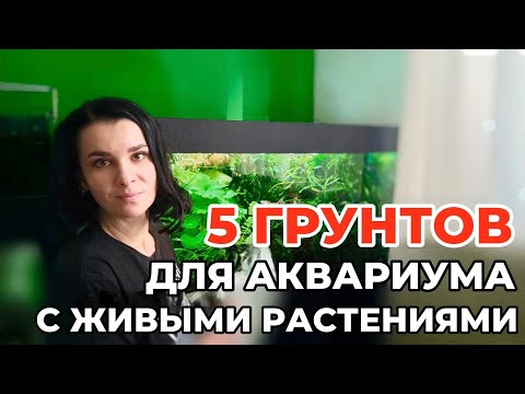 Видео: Грунты для аквариума травника. Какие использовать можно, а какие нельзя