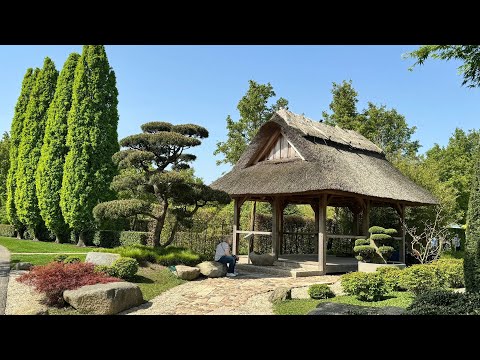 Видео: Японский сад - красота окружающего мира в миниатюре . Park der Gärten in Bad Zwischenahn