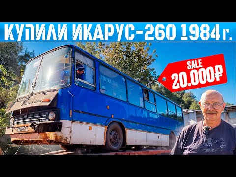 Видео: КУПИЛИ ИКАРУС-260 по ДНУ РЫНКА! СДАТЬ НА МЕТАЛЛОЛОМ ДОРОЖЕ!