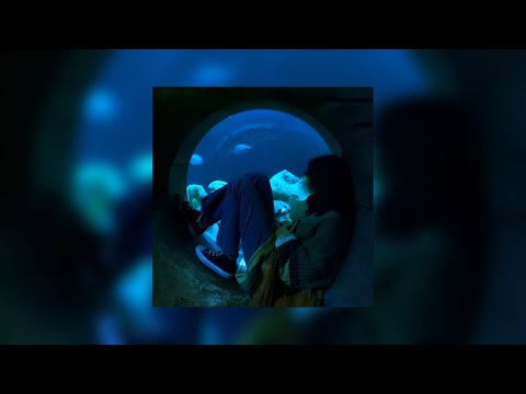 Видео: ⋆｡°✩ плейлист чтобы почувствовать вайб ✧˚☽˚｡⋆