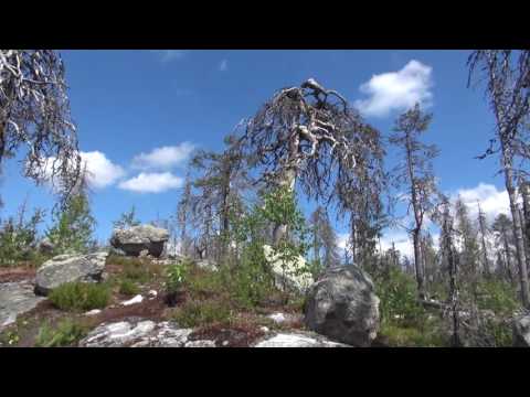 Видео: Воттоваара: Восхождение на гору. И прогулка по горе. (2 серия)