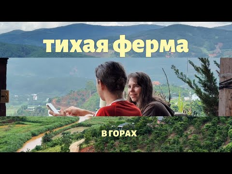 Видео: об этом месте во Вьетнаме знают лишь 50 человек | живем на кофейной ферме