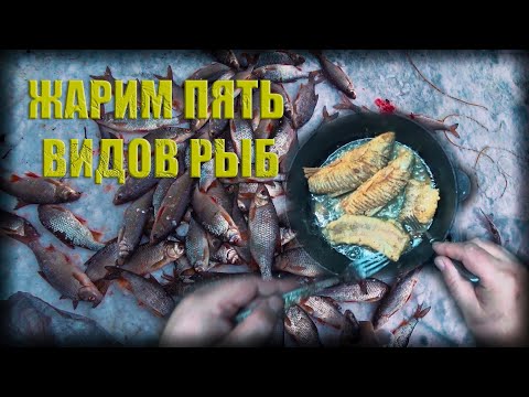 Видео: жарим пять видов рыб