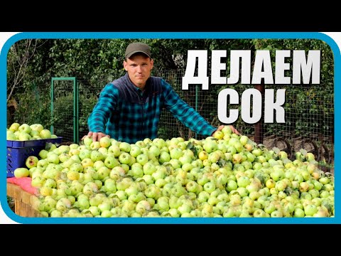 Видео: СКОЛЬКО ПОЛУЧИТСЯ СОКА ИЗ БОЧКИ ЯБЛОК?
