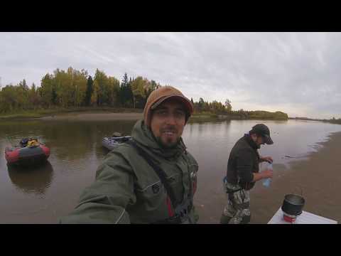 Видео: Промбор день первый