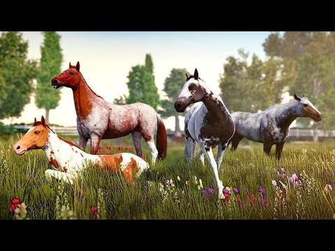Видео: Новые жеребята и покупка лошади 🌺 Rival Stars Horse Racing