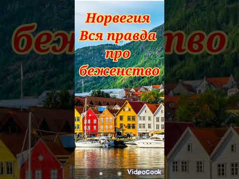 Видео: Норвегия.Индивидуальная защита - есть ли такой статус...