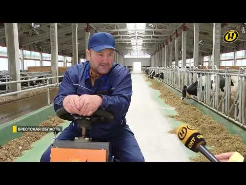 Видео: О развитии молочной отрасли в СУП "Хотиславский"