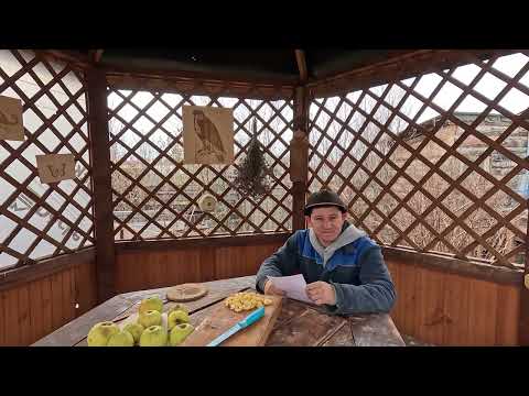 Видео: ОНИ МОЛЧА НАБЛЮДАЮТ  КАК ПАРЕНЬ ИЗ #УЗБЕКИСТАН ТВОРИТ Чудеса