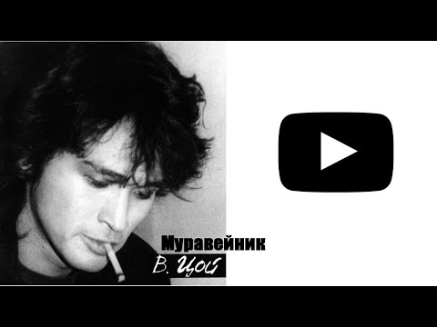 Видео: COVER - "МУРАВЕЙНИК" Виктор Цой!  #группаПарусник  -  068274655 Музыканты на свадьбу  @BandVele