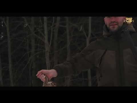 Видео: заяц 2024