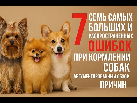 Видео: Семь самых больших и распространенных ошибок при кормлении собак