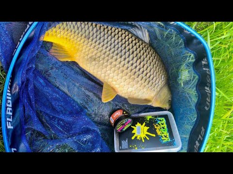 Видео: Релакс і риболовля на Cool Place — вдалий вихідний на водоймі