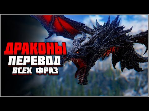 Видео: Skyrim ٠ Драконы - Перевод Всех Фраз в Skyrim | Часть 1/2