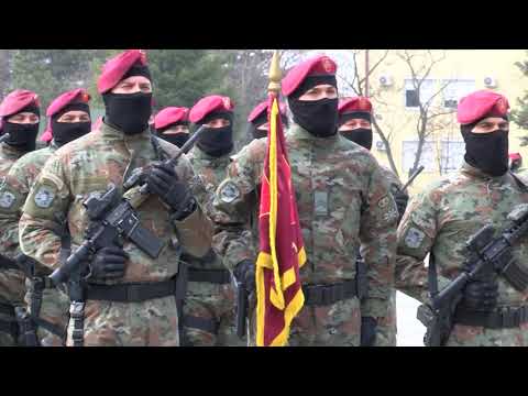 Видео: Одбележување на Денот на Баталјонот на специјални сили