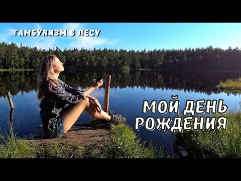 Видео: Готовлю походный ТОРТ | Отмечаю день рождения в лесу | Открываю купальный сезон 2021