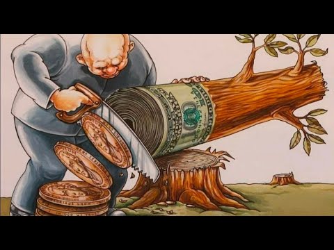 Видео: 2 ЧАСТЬ: Лес как объект политики