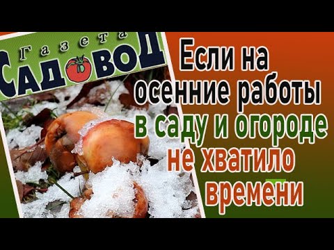 Видео: Если на осенние работы в саду и огороде не хватило времени