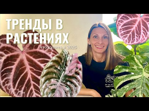 Видео: ТРЕНДЫ В РАСТЕНИЯХ 2025. Самые популярные РАСТЕНИЯ из Pinterest
