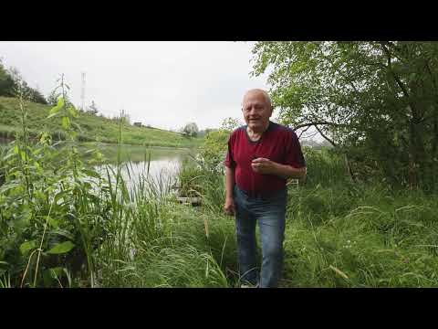 Видео: Как быстро накопить гумус в почве и жить, часть 2