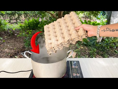 Видео: Миллионы людей не знают этих секретов😱!! Секретное использование бумажных лотков для яиц.