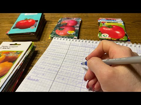 Видео: В какие сроки нужно сеять семена ТОМАТОВ и ПЕРЦА!