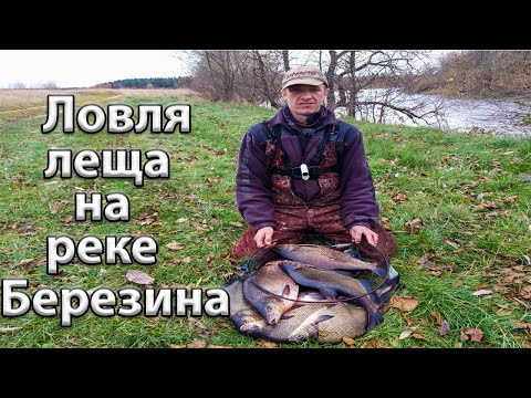 Видео: Ловля леща на реке Березина.