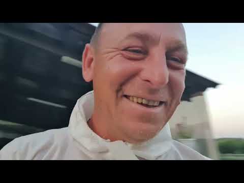 Видео:  Чим перемогти Оідіум на винограді.