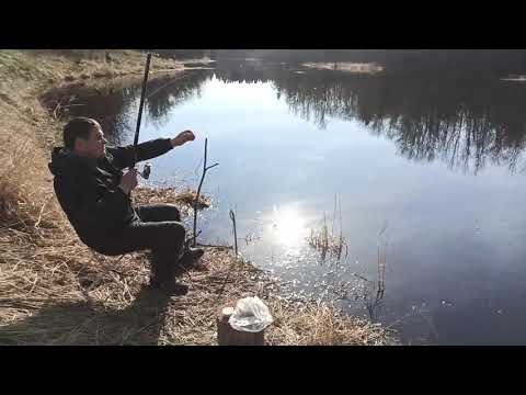 Видео: На рыбалку за плотвой Ладожское озеро р. Авлога на Avntis FX lux и Kayo K6