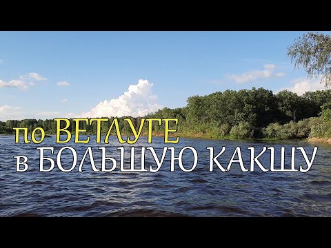 Видео: река ВЕТЛУГА 🎣 реки Малая и Большая КАКША 🐟 Сплав НАОБОРОТ 😃