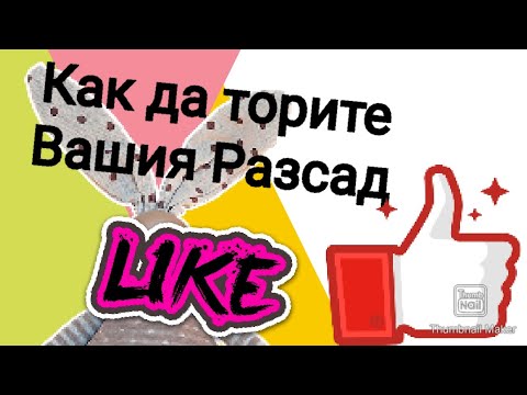 Видео: Разкрийте Тайните на Торенето на Разсада - Знаете Ли Зa Еликсира?