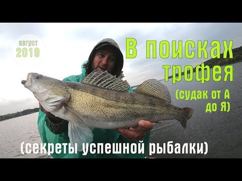 Видео: В поисках трофейного судака. Ловля судака на джиг летом. Как поймать и где искать судака.