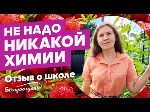 Видео: Мы сделали столько ошибок из-за блогеров / отзывы Strogoorganic