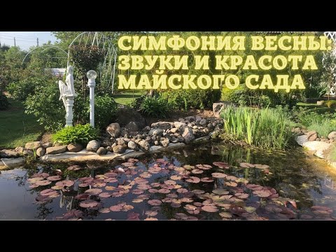 Видео: Симфония весны: звуки и красота майского сада