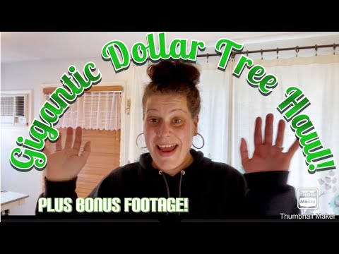 Видео: ГИГАНТСКАЯ добыча долларовых деревьев 🛍️ Плюс бонусные кадры!!! 23 октября 2025 г.