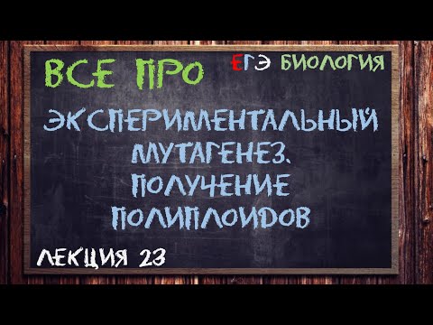 Видео: Л.23 | ЭКСПЕРИМЕНТАЛЬНЫЙ МУТАГЕНЕЗ | ПОЛИПЛОИДИЗАЦИЯ | СЕЛЕКЦИЯ | ОБЩАЯ БИОЛОГИЯ ЕГЭ