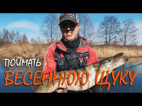 Видео: ПОЙМАТЬ ВЕСЕННЮЮ ЩУКУ - СЛОЖНО ЛИ??? | Рыбалка со stigan'ом