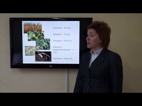 Видео: Кураченко Н.Л. Органическое вещество почвы