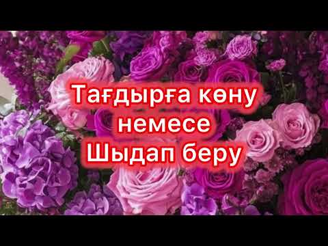 Видео: НЕГЕ НӘТИЖЕ ЖОҚ