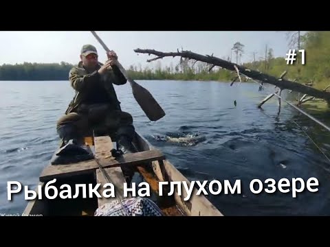 Видео: ТУТ ДУША РЫБАКА ОТДЫХАЕТ | ТАЙГА | ГЛУХОЕ ОЗЕРО