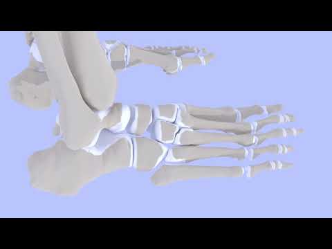 Видео: Переломы основания пятой плюсневой кости
