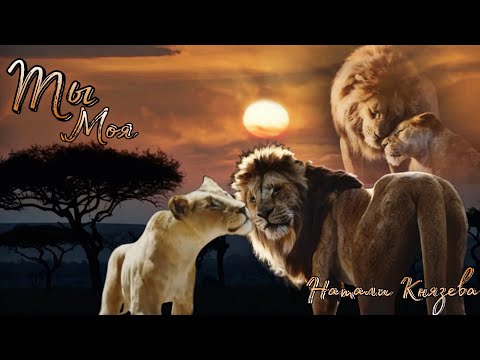 Видео: "Муфаса: Король Лев" (КВАТРО) "ТЫ МОЯ" Муфаса/Сараби Симба Нала Зазу Скар