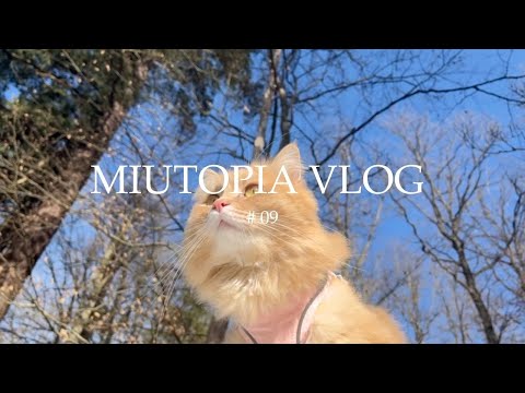 Видео: Спокойная прогулка по лесу с котами и домашний суп для души | Miutopia Story 09